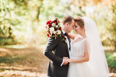 Romantik, peri masalı, mutlu yeni evli çift parkta sarılıp öpüşüyor, arka planda ağaçlar....