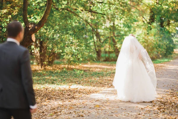 Elegante Pareja Recién Casados Felices Elegantes Caminando Por Parque Día — Foto de Stock