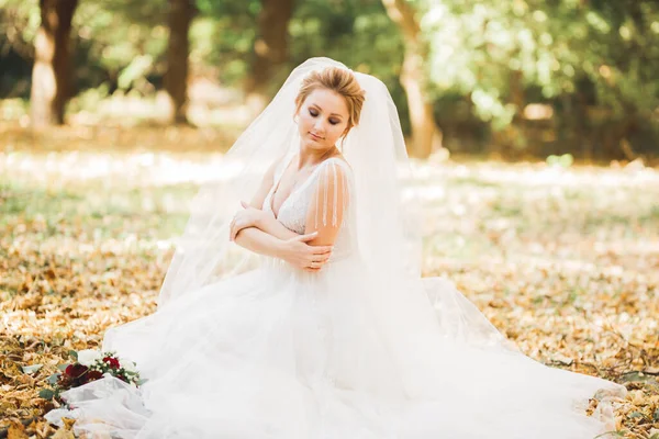 Ritratto Una Bella Sposa Moda Dolce Sensuale Trucco Nuziale Capelli — Foto Stock