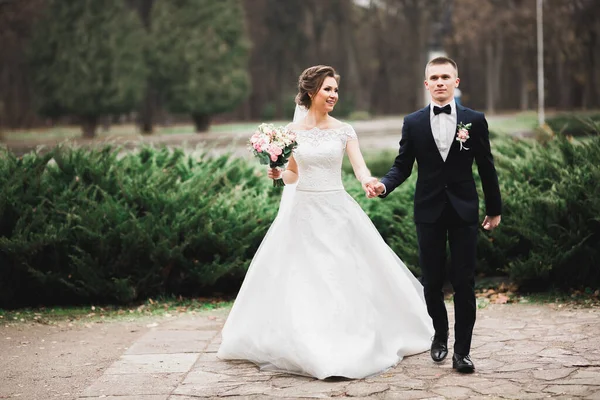 Wedding Couple Holding Hands Groom Bride Together Wedding Day — Stock Photo, Image