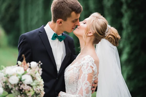 Beautiful Bride Groom Embracing Kissing Wedding Day Outdoors — Stock Photo, Image