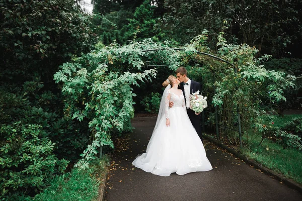 ロマンチックでおとぎ話 幸せな新婚カップル抱擁と公園でキス 背景の木 — ストック写真