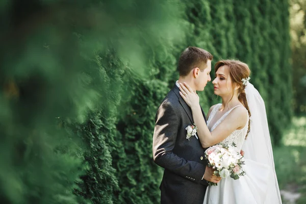 Casal Casamento Feliz Noivo Encantador Noiva Perfeita Posando Parque — Fotografia de Stock