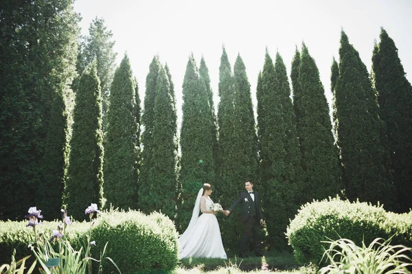 Glückliches Hochzeitspaar Beim Spaziergang Einem Botanischen Park — Stockfoto