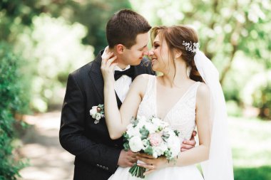 Romantik, peri masalı, mutlu yeni evli çift parkta sarılıp öpüşüyor, arka planda ağaçlar....