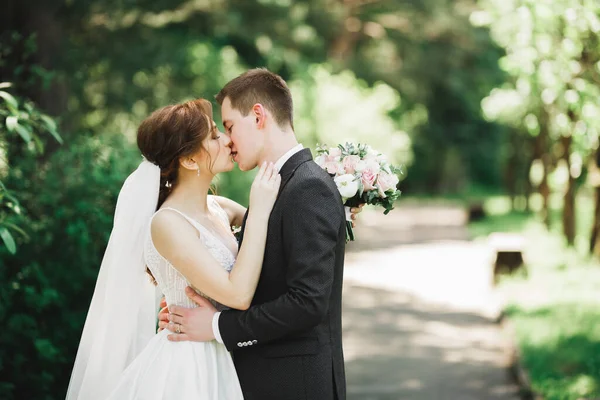 美丽的新娘和新郎在结婚当天拥抱和亲吻 — 图库照片