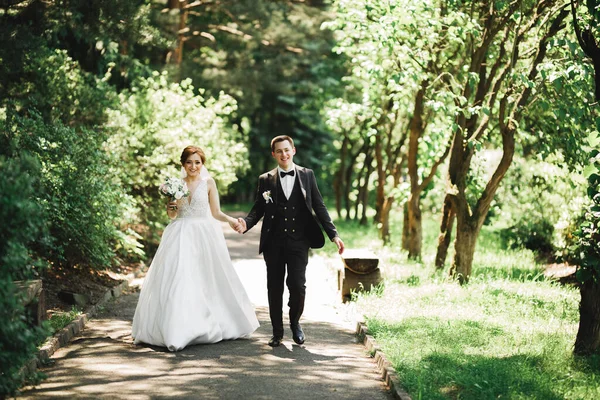 植物公園を歩く幸せな結婚式のカップル — ストック写真