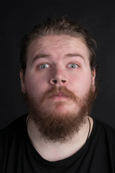 Size Male Long Hair Beard Pulling Funny Face Studio Backdrop — Stock Photo, Image