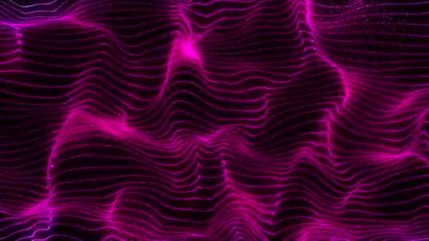Abstract Glowing Pink Purple Genesis Wave Animation Black Background — Vídeo de Stock