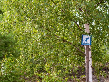 Skiing ski sign by birch trees in summer