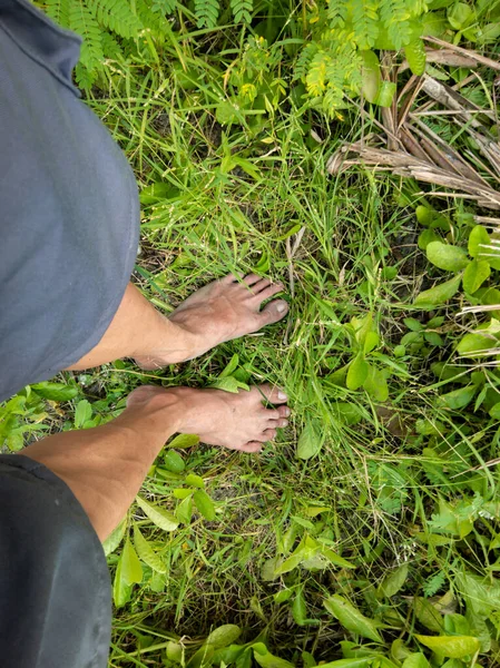 foot therapy and relax in nature