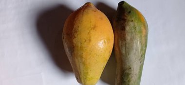 fresh papaya fruit that looks very delicious