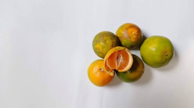 sweet orange with white background