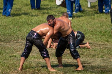 Wrestlers at the tBursa, Turkey - August 2022: Traditional Turkish Oil Wrestling, Wrestlers are struggling to beat their opponents on the grass in hot, sunny day, Selective focus.raditional Turkish