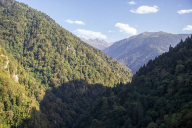 Rize, Türkiye - Eylül 2022: Yeşil orman manzaralı Kackar dağları