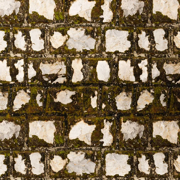 Mossy wall texture with a big stone pattern