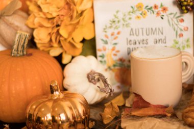 Beyaz arka planda sonbahar balkabağı ve kurabiyeleri