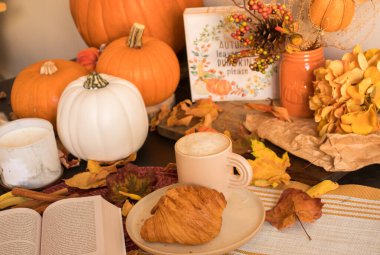 Sonbahar, bal kabakları ve yapraklarla dolu bir hayat.