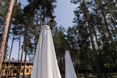 Ormandaki havuzun yanında katlanmış bir şemsiye.