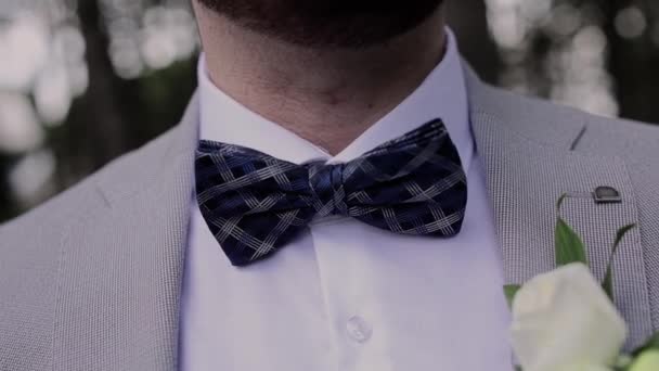 Man Black Bow Tie Suit — Wideo stockowe