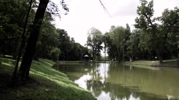 Lac Vert Dans Parc Été — Video