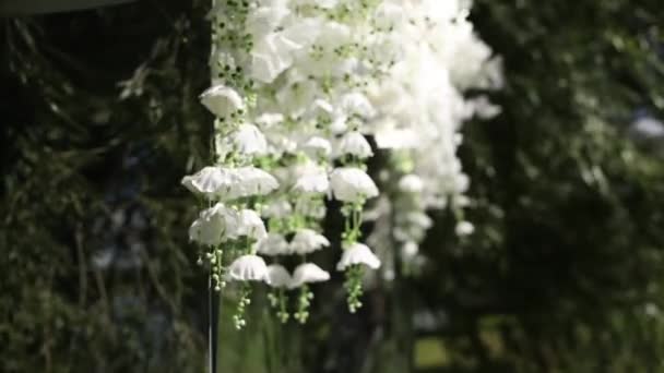 Schöne Weiße Blumen Nahaufnahme Auf Einem Hochzeitsbogen — Stockvideo