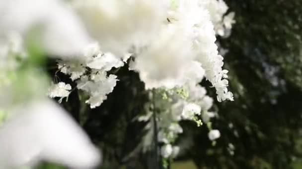 Schöne Weiße Blumen Nahaufnahme Auf Einem Hochzeitsbogen — Stockvideo