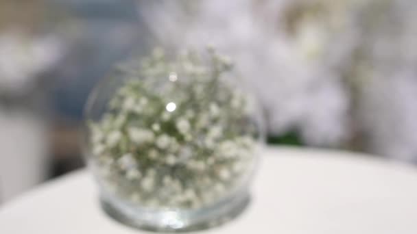 White Small Decorative Flowers Close Wedding — Stock Video