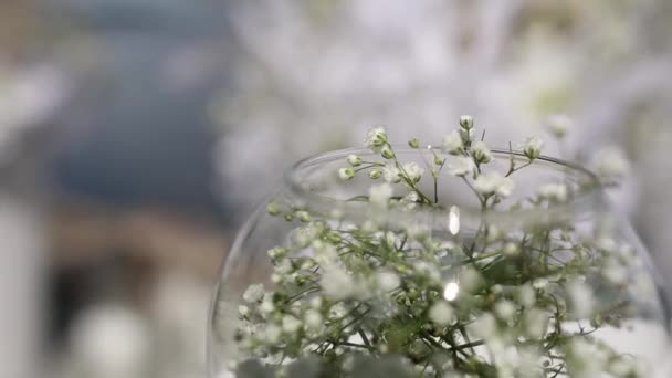 Flores Decorativas Pequeñas Blancas Cerca Boda — Vídeo de stock