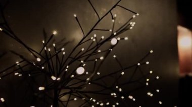 Dairesinde ışıklar olan Noel süslemeleri.