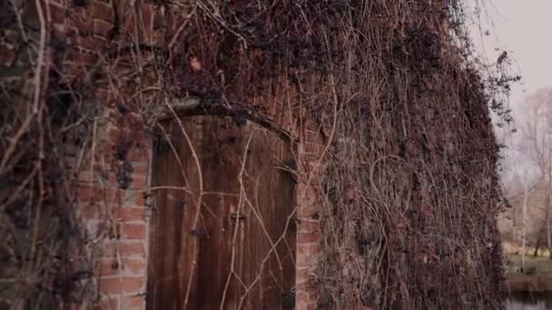 Старая Деревянная Дверь Кирпичном Доме — стоковое видео