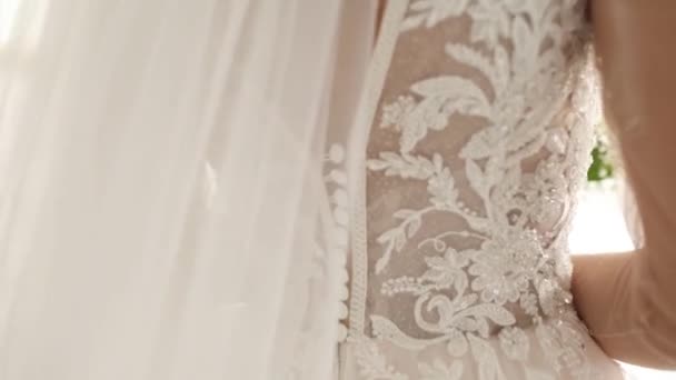 新娘的婚纱从后面的特写 — 图库视频影像