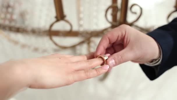 式で新郎新婦が結婚指輪をつけて — ストック動画