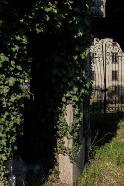İtalya 'da yapraklarla kaplanmış bir Avrupa şehrinin taş yapısının antik mimarisi.