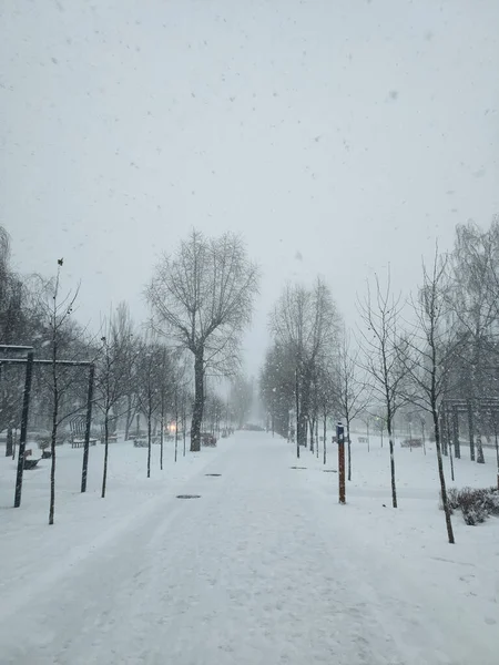 Улица Снегу Зимний Снегопад Течение Дня — стоковое фото