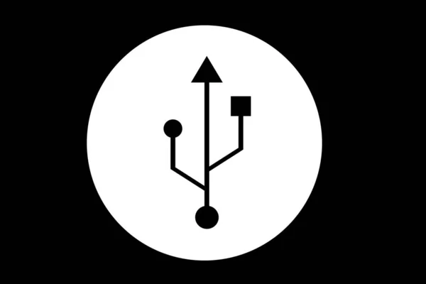 Icône Bouton Usb Vecteur Flash Icône Illustration — Image vectorielle