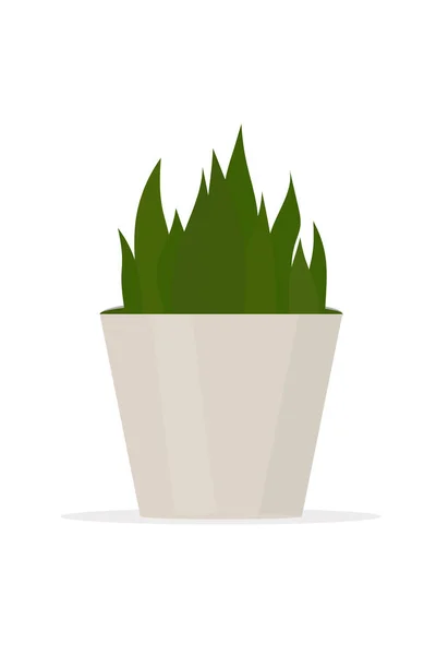Indoor Plant Palm Tree Pot Green Vector Illustration — Wektor stockowy