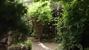 Yazın park kompleksinin güzel yeşil bölgesi