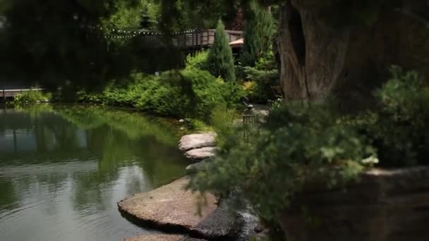 Σχεδιασμός Τοπίου Διακοσμητική Λίμνη Κοντά Στο Συγκρότημα Εστιατορίων Στο Δάσος — Αρχείο Βίντεο