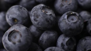 blueberry berries closeup background for cooking fruits summer