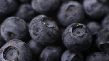 blueberry berries closeup background for cooking fruits summer