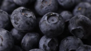 blueberry berries closeup background for cooking fruits summer