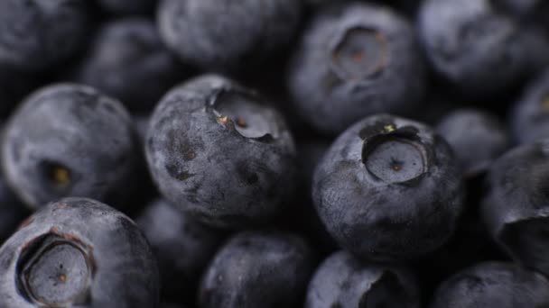 Blueberry Berries Closeup Background Cooking Fruits Summer — Stockvideo