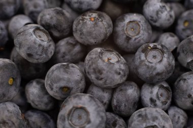 Böğürtlen, yaz mevsiminde meyve pişirmek için yakın plan.