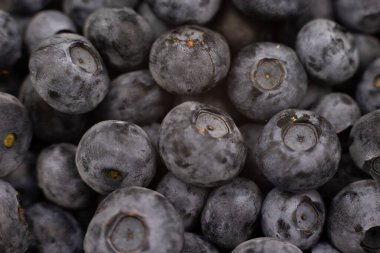 Böğürtlen, yaz mevsiminde meyve pişirmek için yakın plan.