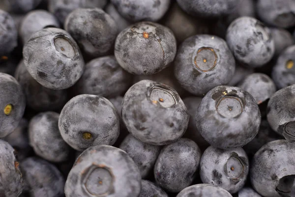 Blueberry Berries Closeup Background Cooking Fruits Summer — Zdjęcie stockowe