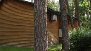 wooden cabins house in a pine forest and blue sky with clouds
