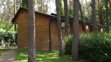 wooden cabins house in a pine forest and blue sky with clouds