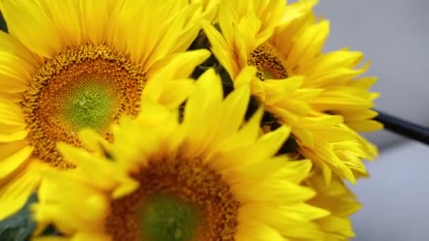 Beautiful Bouquet Flowers Yellow Sunflowers — Stock video