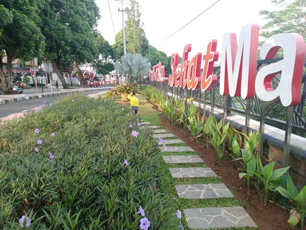 City Park Various Kinds Ornamental Plants — Stock Photo, Image